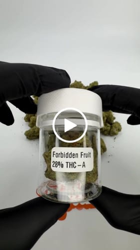 Customer video review of THC-A 30% Hash Cali Plates