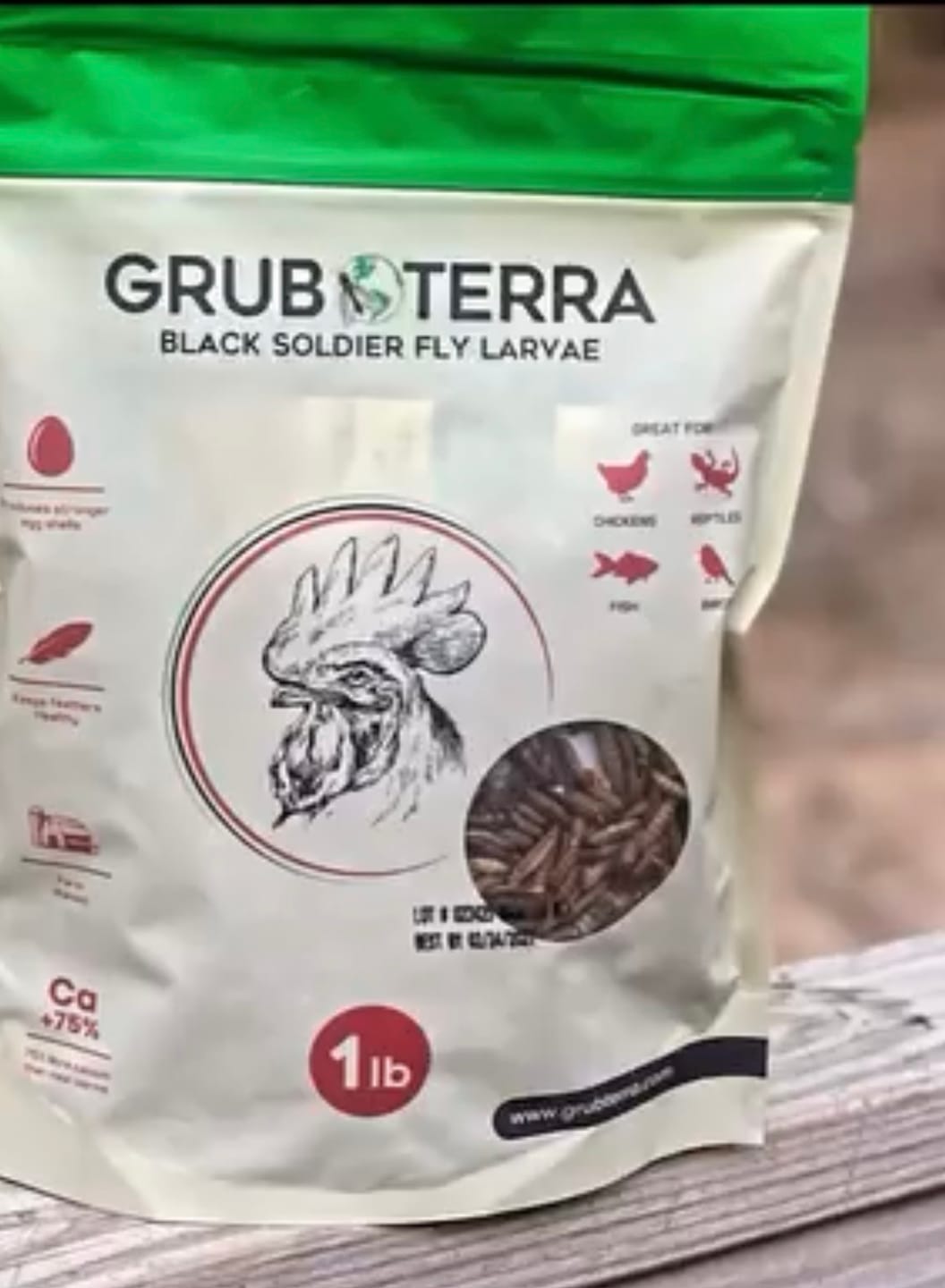 Customer photo review of GrubTerra Dried Black Soldier Fly Larvae - The Safest Treat For Your Flock