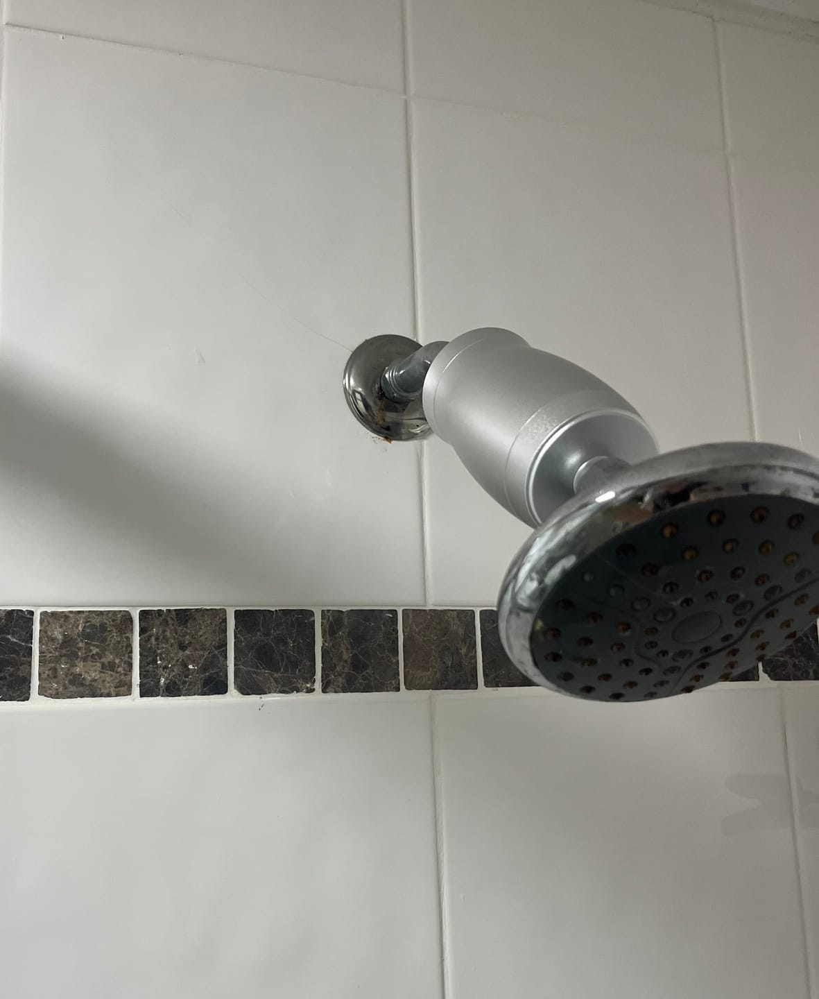 Customer photo review of Aquora Shower Filter