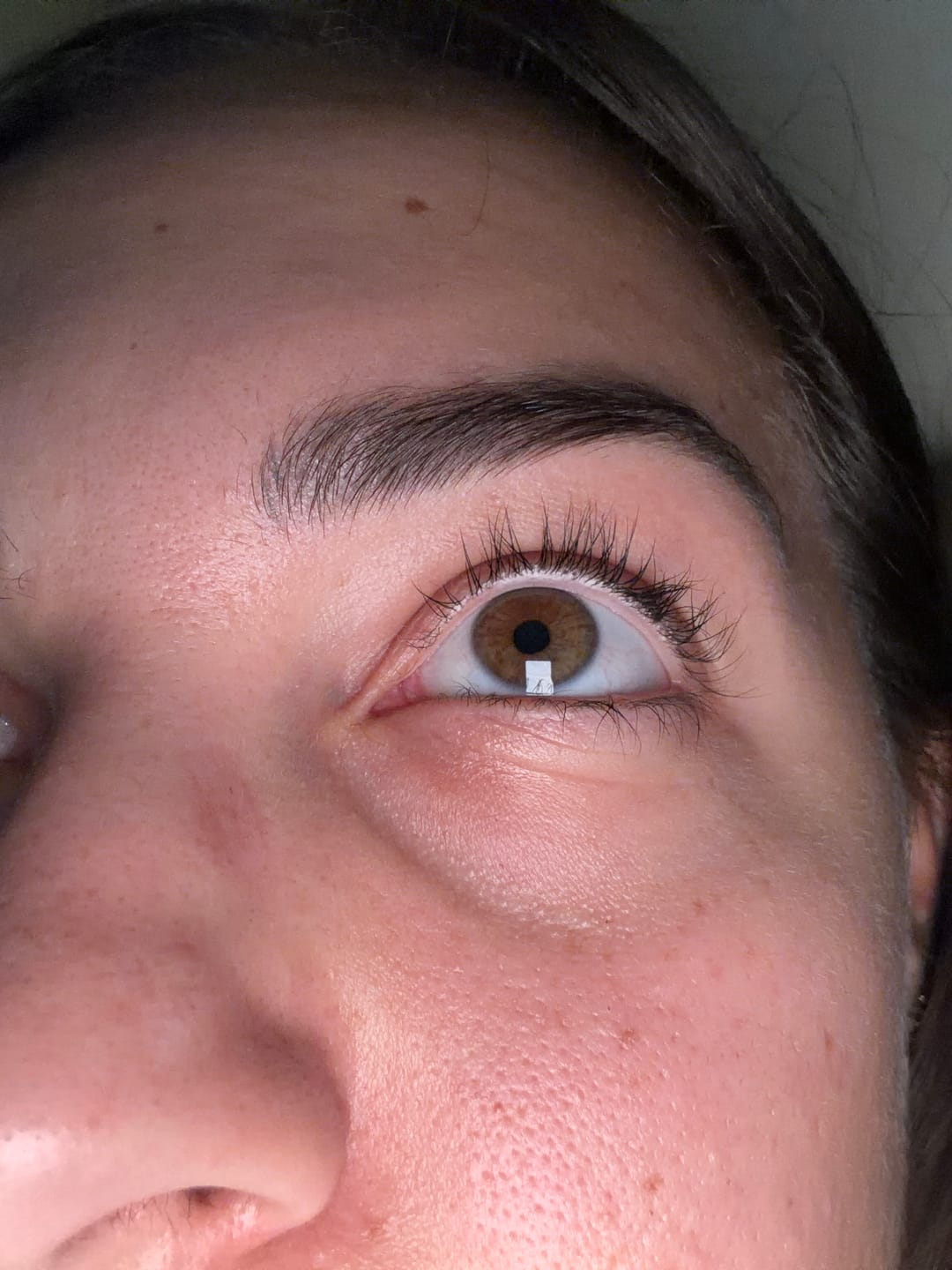 Customer photo review of LASHCOCA!NE PROLINE