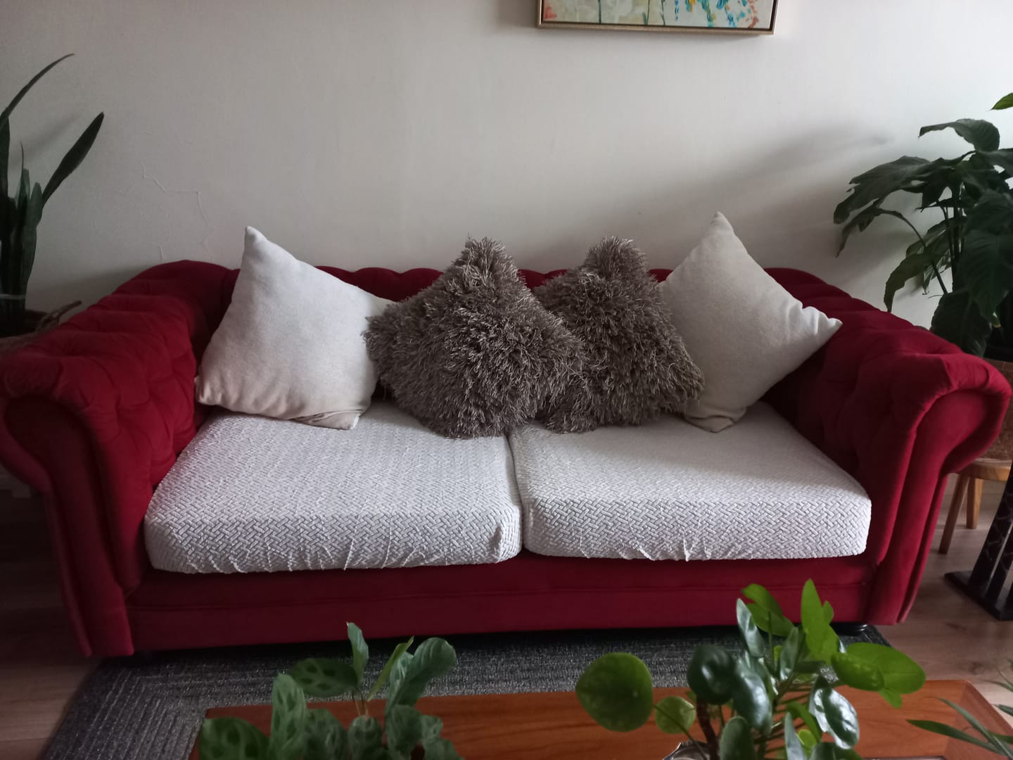 Customer photo review of Funda Mágica Cubre Sofá —  Renueva tu sofá en 2 minutos.