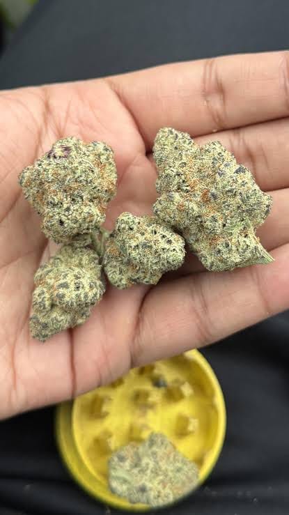 Customer photo review of Puffaroo - Blackberry Kush - 28 Grams - Indica
