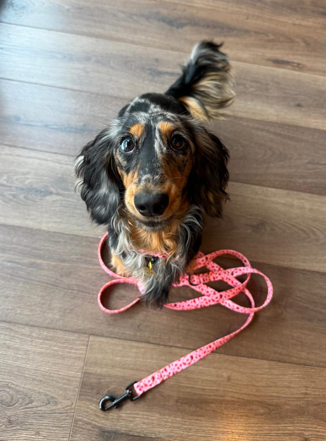 Customer photo review of Smycz miejska "Pink Terrazzo" - czarne okucia