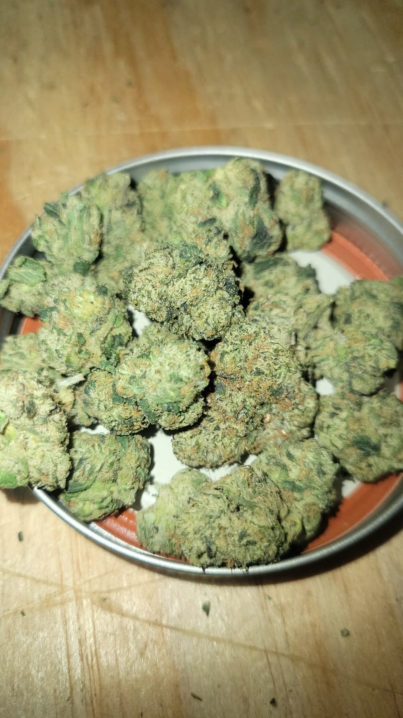 Customer photo review of Motor Breath (Indoor) – Bulk THCA Flower 1 lb