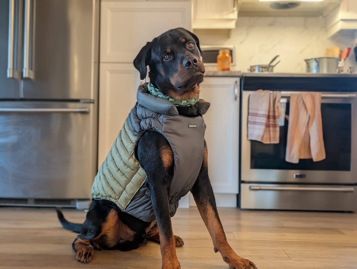 Customer photo review of PuffShield Winter Jacket - Green