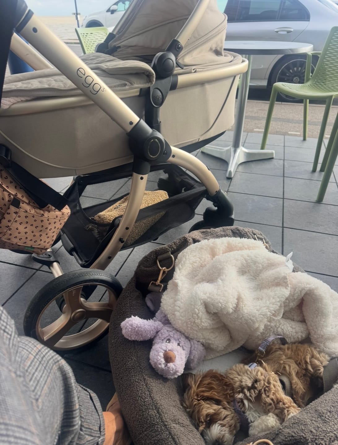 Customer photo review of Chocolate | The Cosy Car Seat