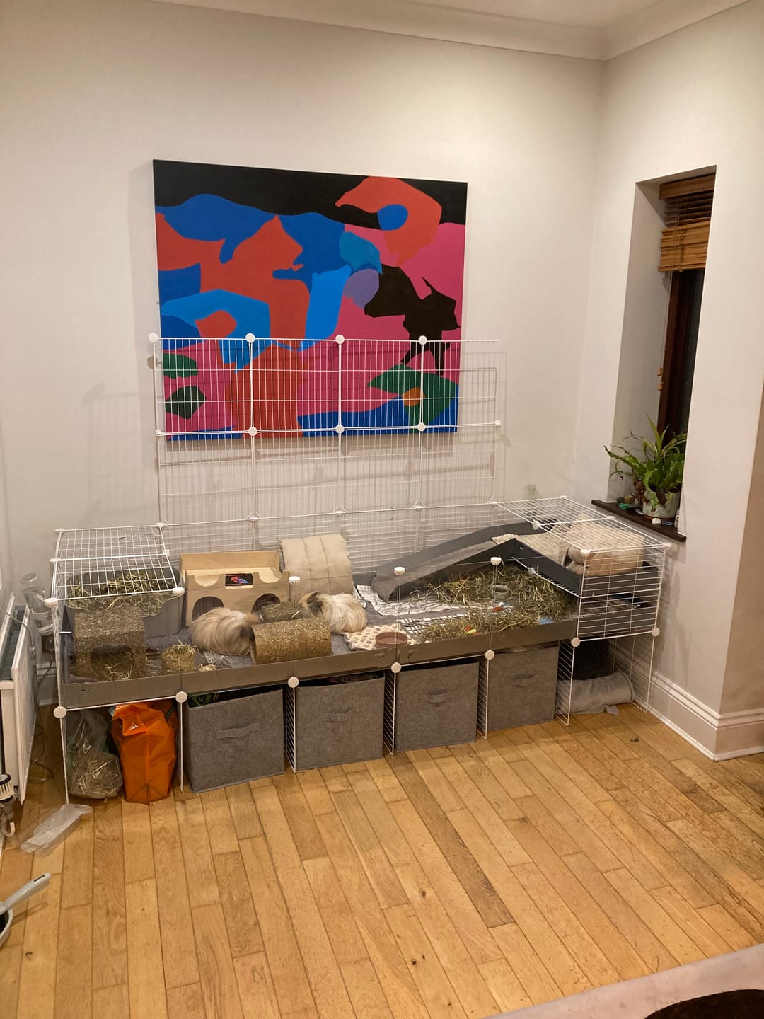 Customer photo review of The Kavee C&C Habitat - 6x2