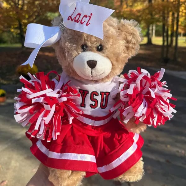 Customer photo review of Cute Cheer Bear Gift Custom Embroidered Uniform & Bow Sport Game Day Mascot