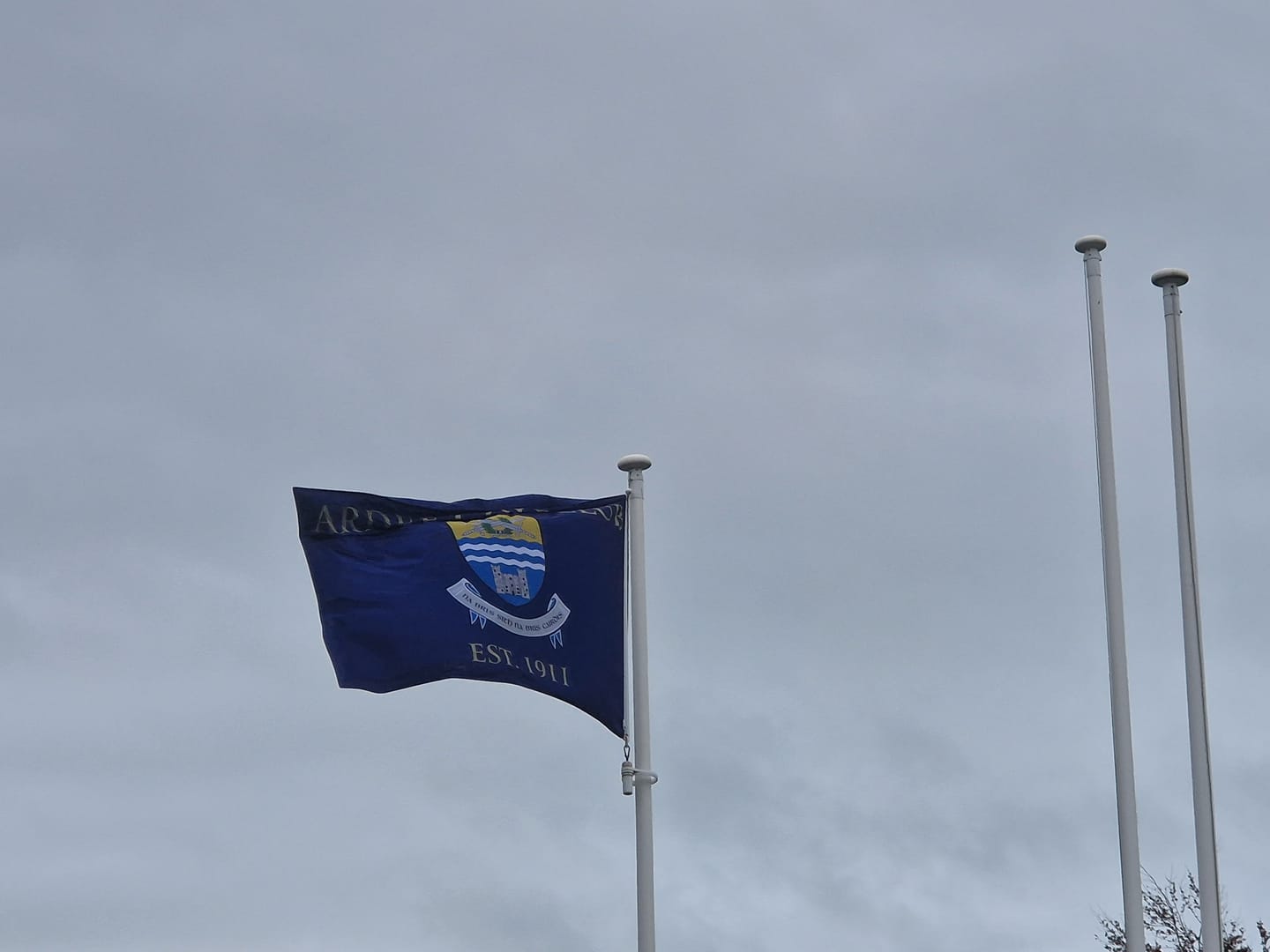 Customer photo review of Personalised Corner & Pitch Side Flags