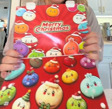 Customer photo review of Calendrier "Mystery Dumpling"
