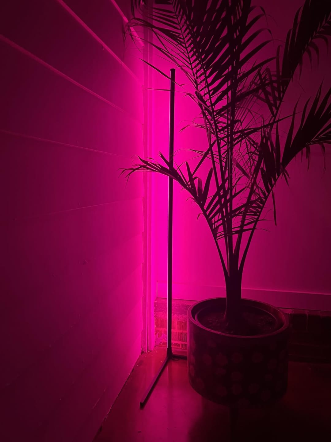Customer photo review of LED Corner Floor Lamp | 56 or 63 in Aluminum Light Bar, RGB or Tunable White | Remote Dimming, Black or White