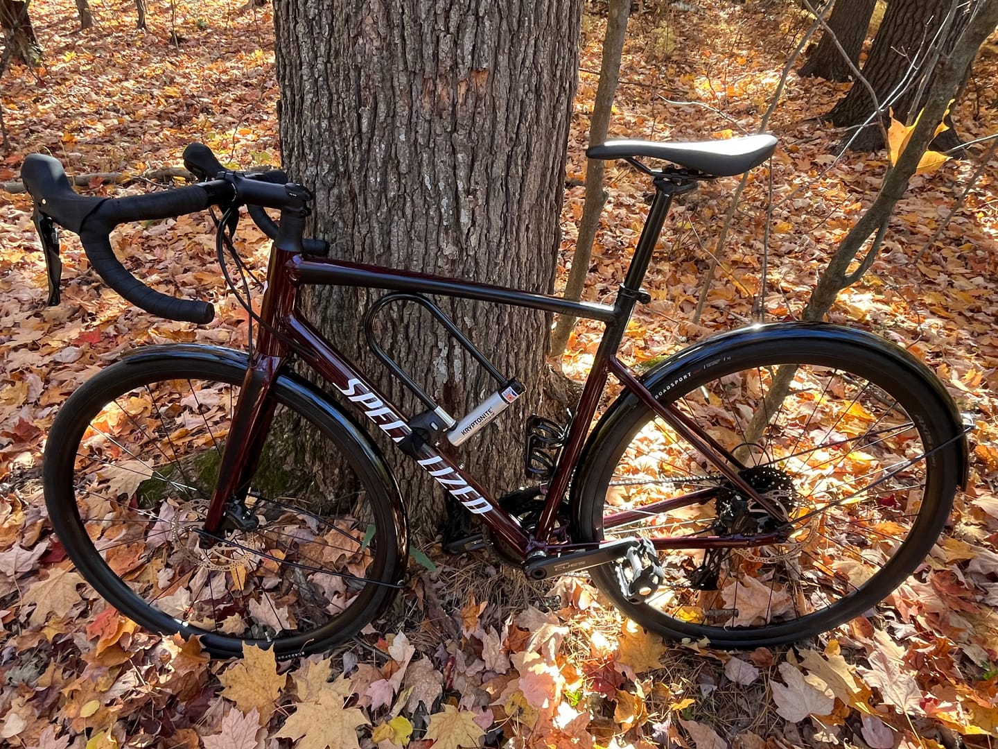 Customer photo review of Velo Orange Smooth Fenders
