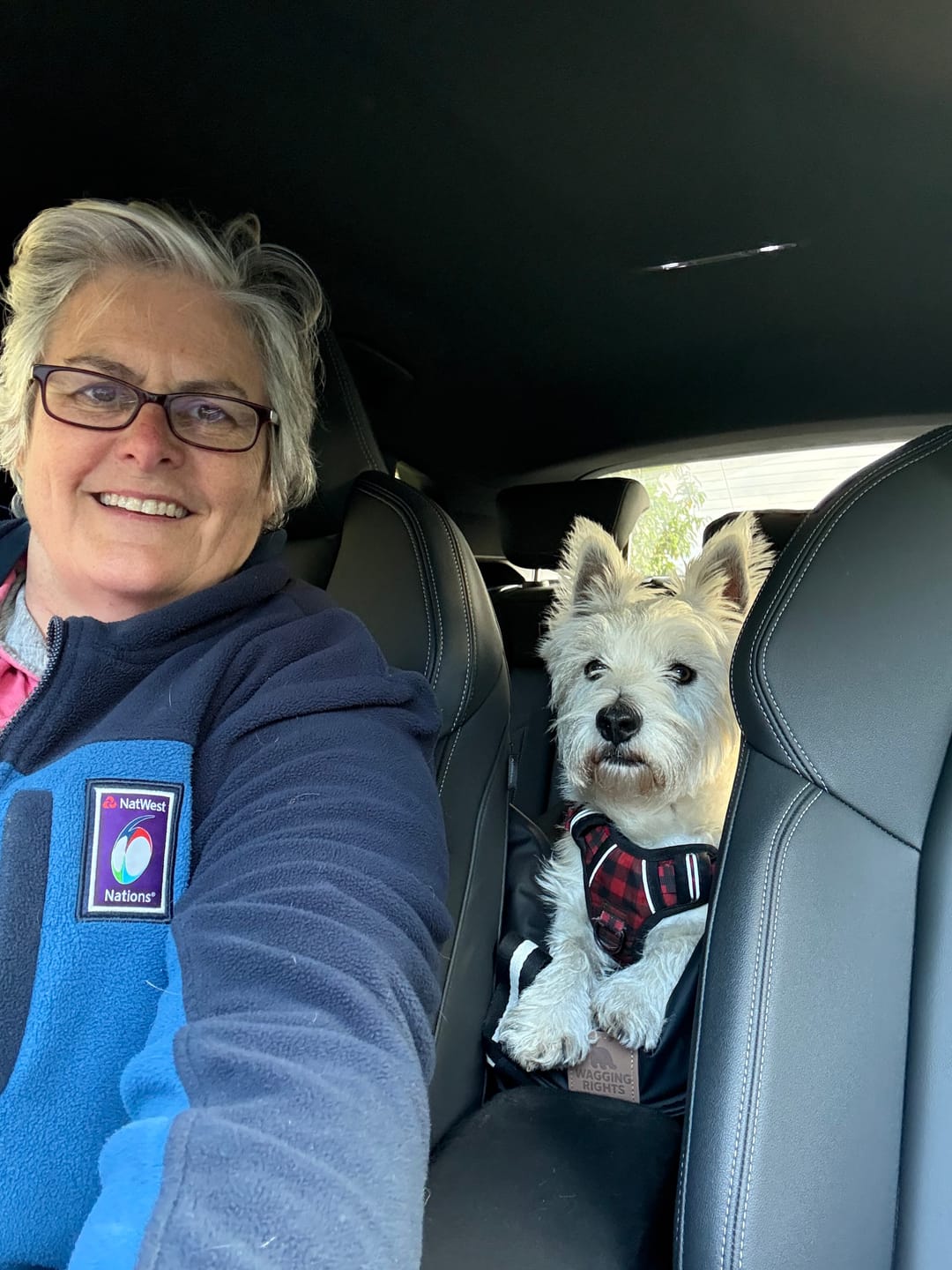 Customer photo review of Dog Dock V2 New & Improved ISO Fix