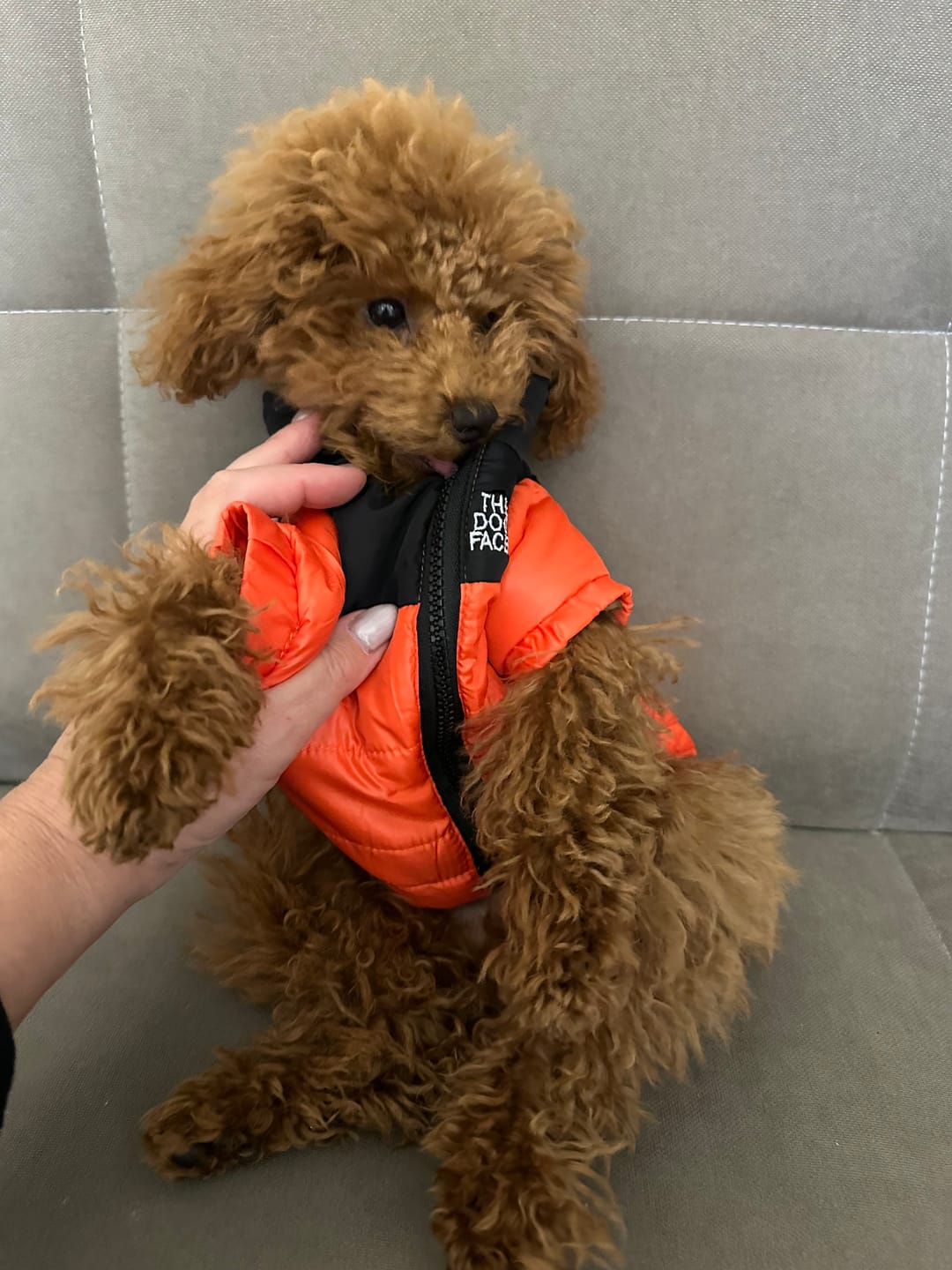 Customer photo review of The Dog Face Piumino