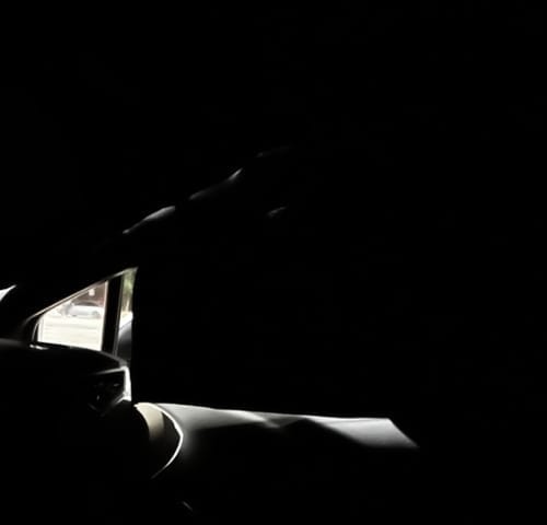 Customer photo review of Car Privacy Curtains