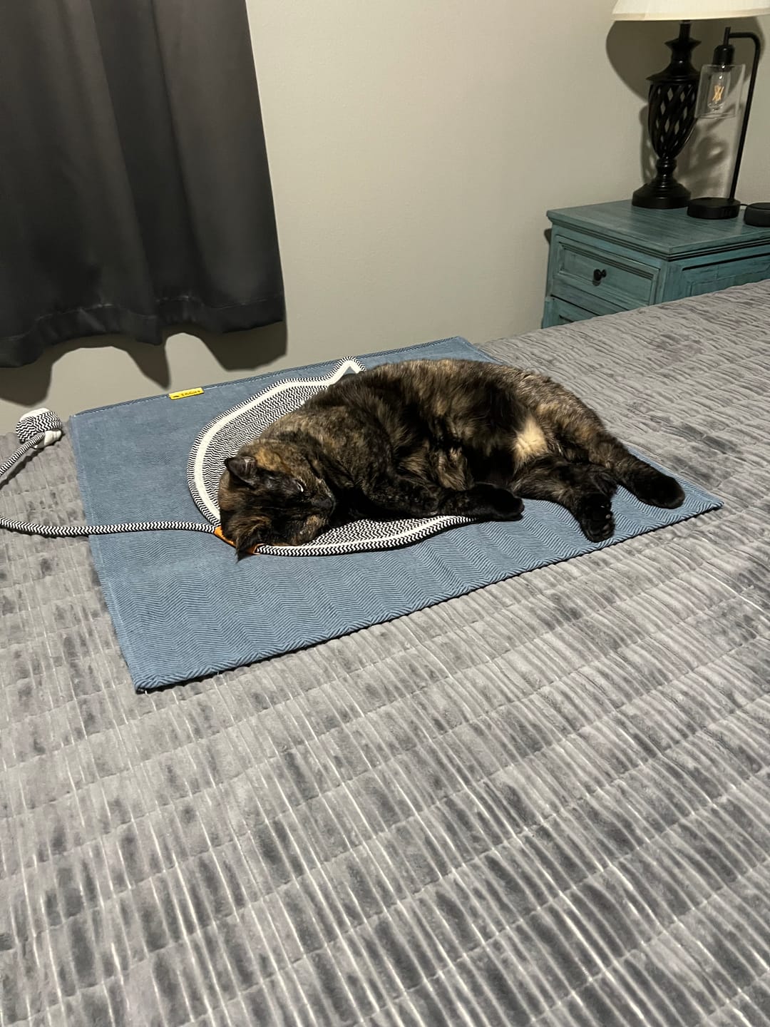 Customer photo review of Instinct Mat | The Scratching Mat Her Biology Actually Recognizes (NEW)