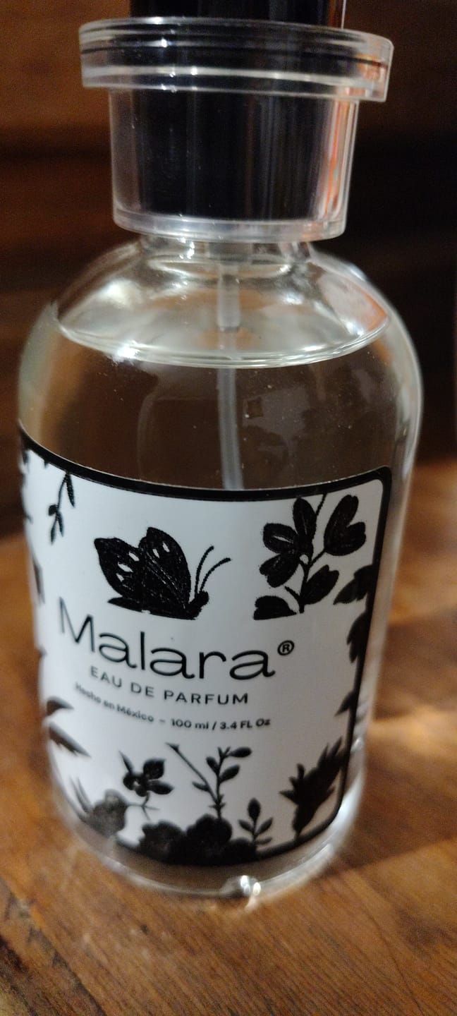 Customer photo review of Sea Spark — Inspirado en Light Blue (Mujer) de Dolce & Gabbana