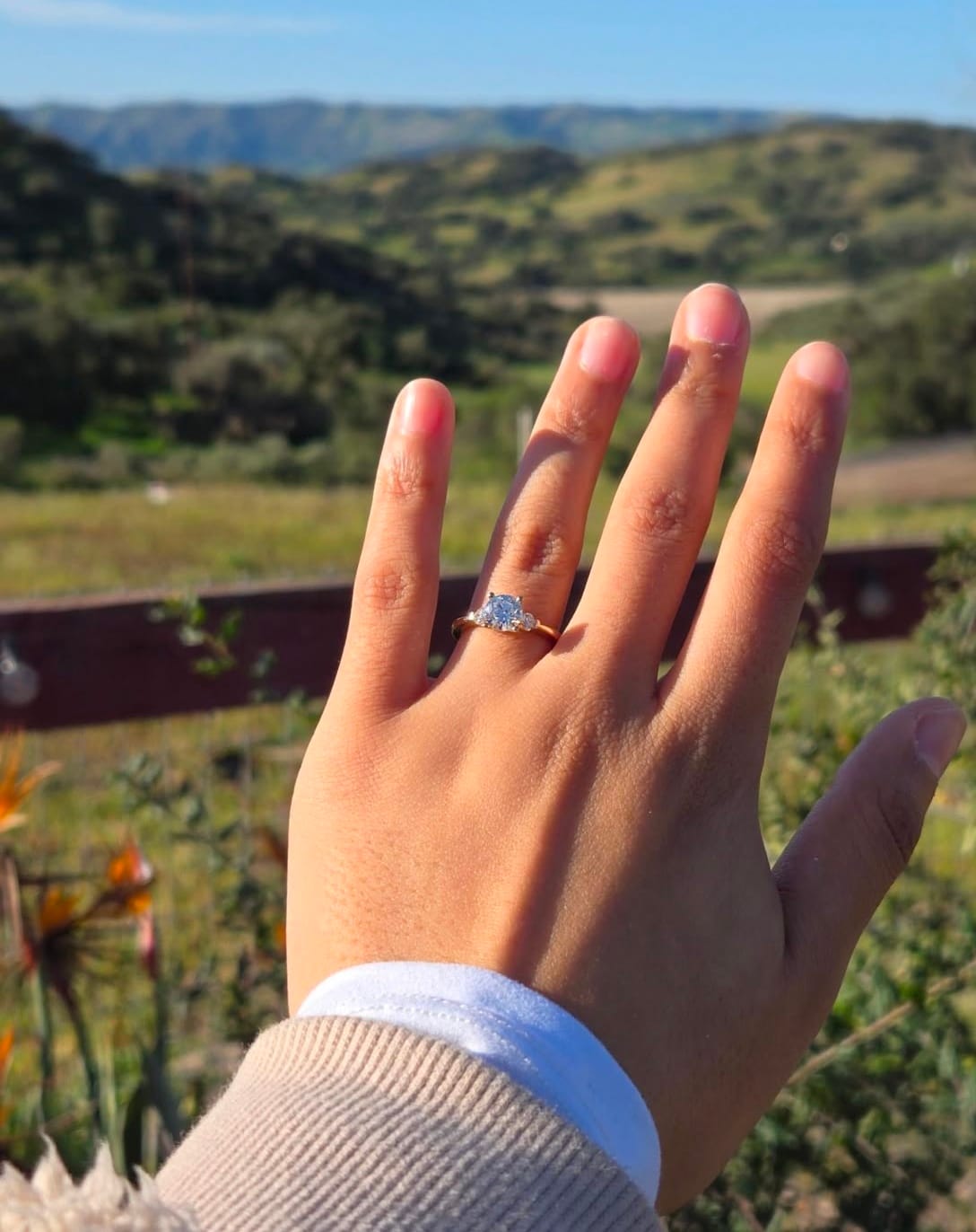 Customer photo review of Astrid Round 3 Stone Lab Grown Diamond Engagement Ring