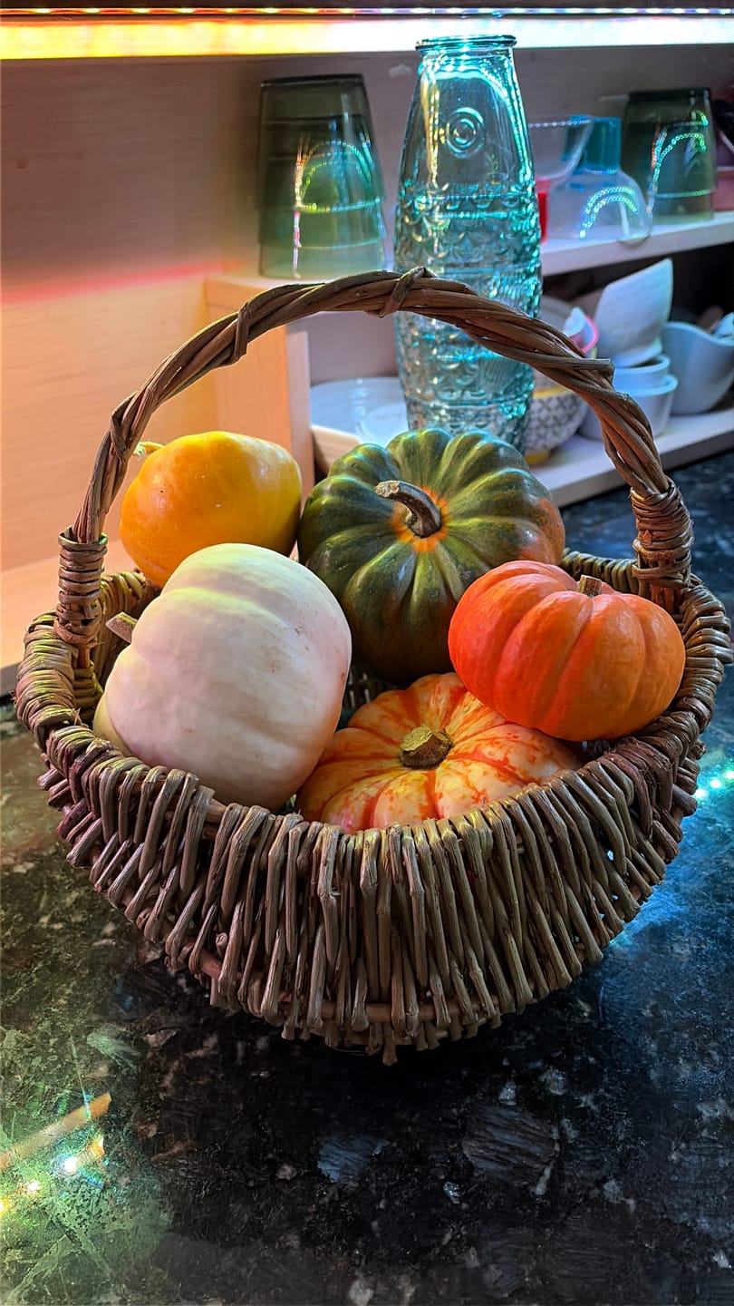 Customer photo review of The Foraging Basket - Course and Kit