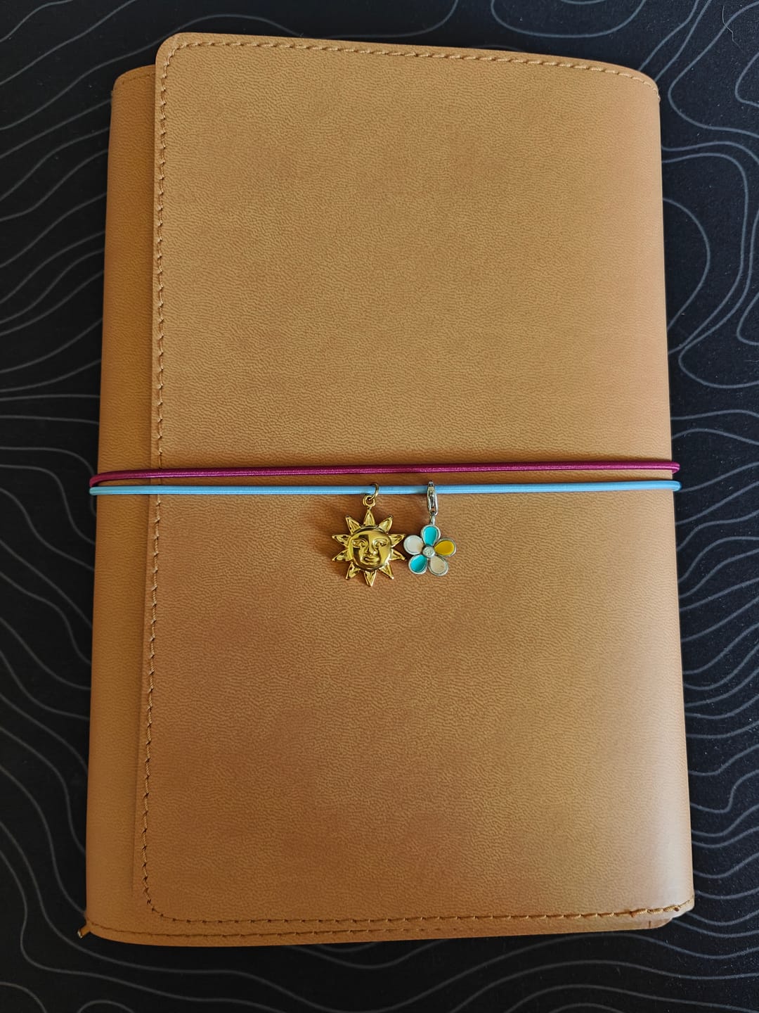 Customer photo review of Future Planner in Blushing Oyster