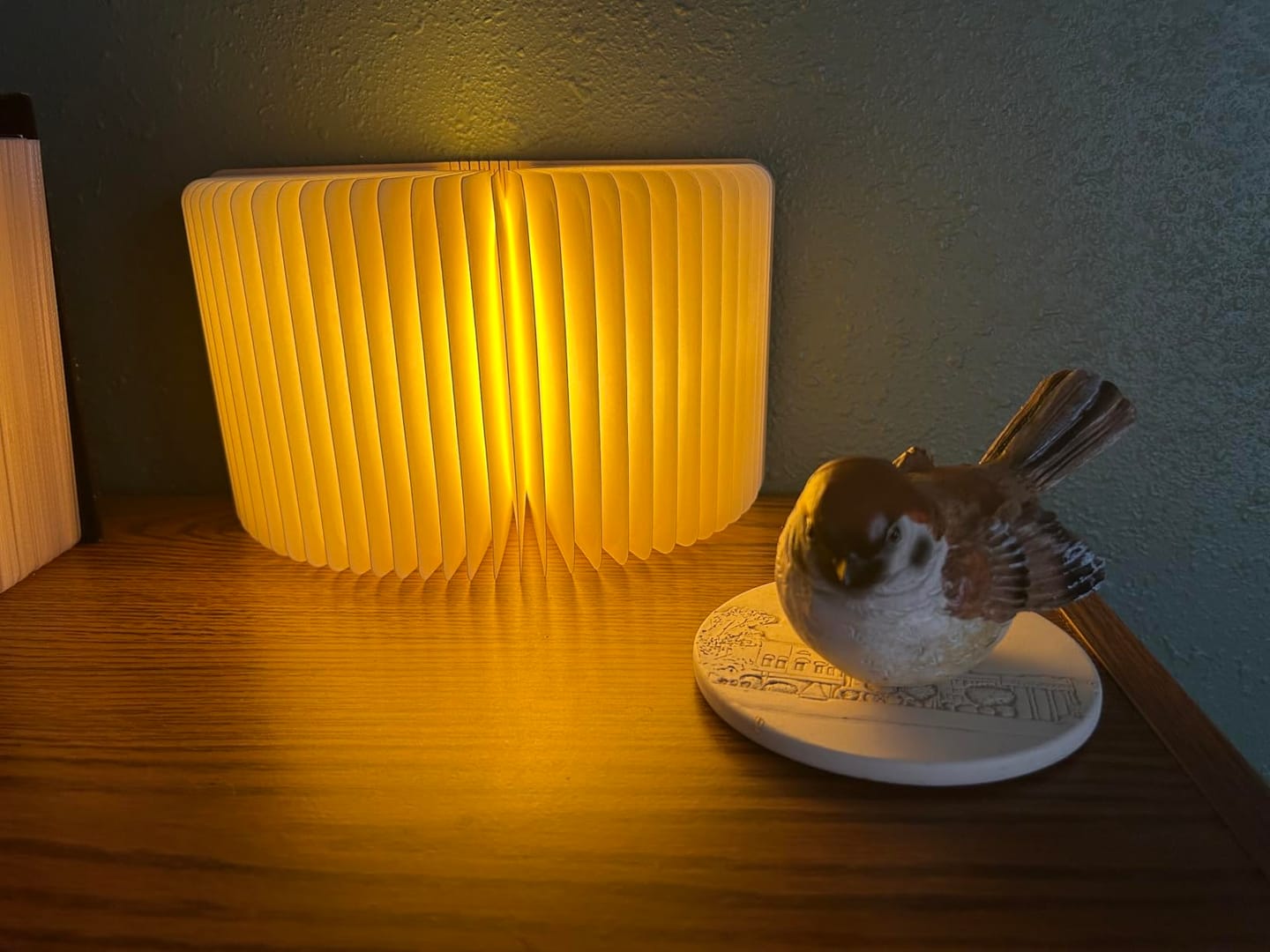 Customer photo review of Foldable Book Lamp | 360° Portable LED Table Light in Wood | USB Rechargeable, 3 Modes, 8-Hour Battery