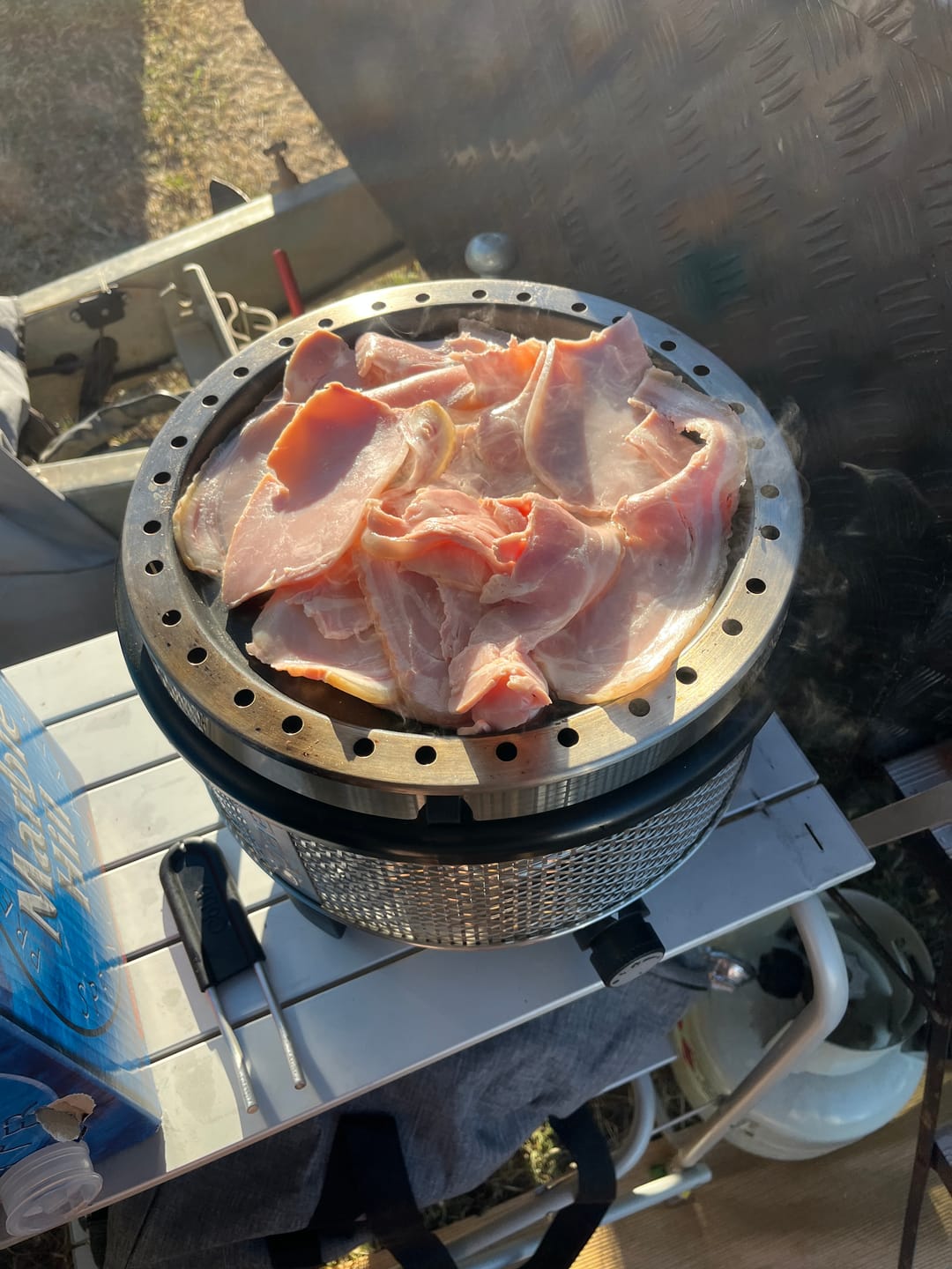 Customer photo review of COBB Grill Gas+
