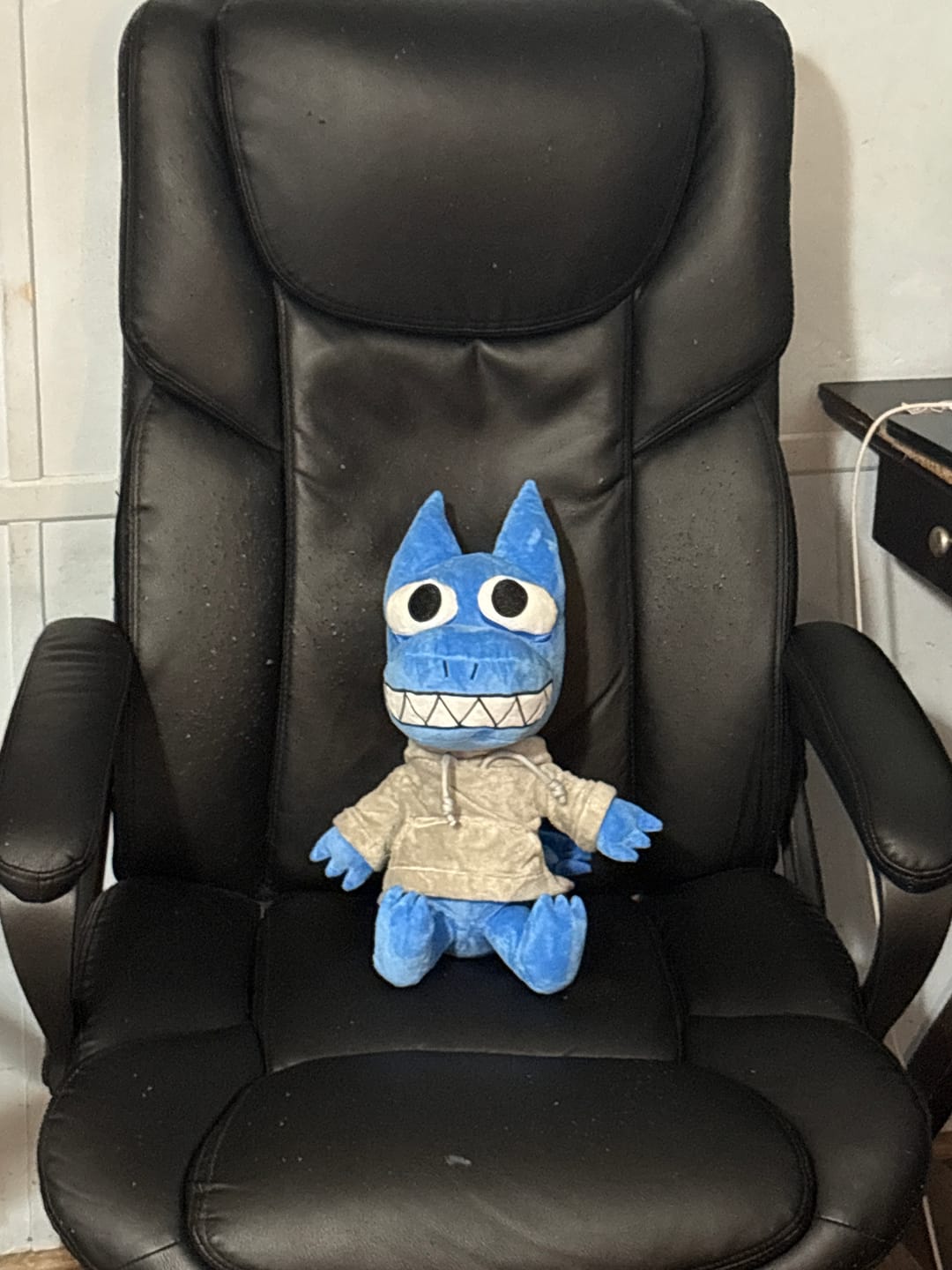 Customer photo review of Original Character (OC) Design Plush