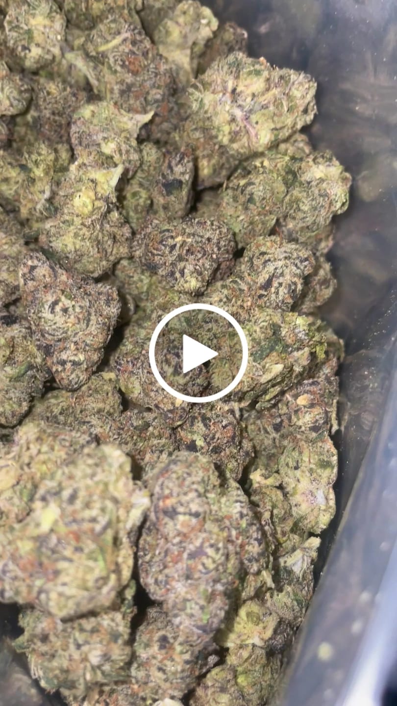 Customer video review of Bulk Indoor THCA Smalls
