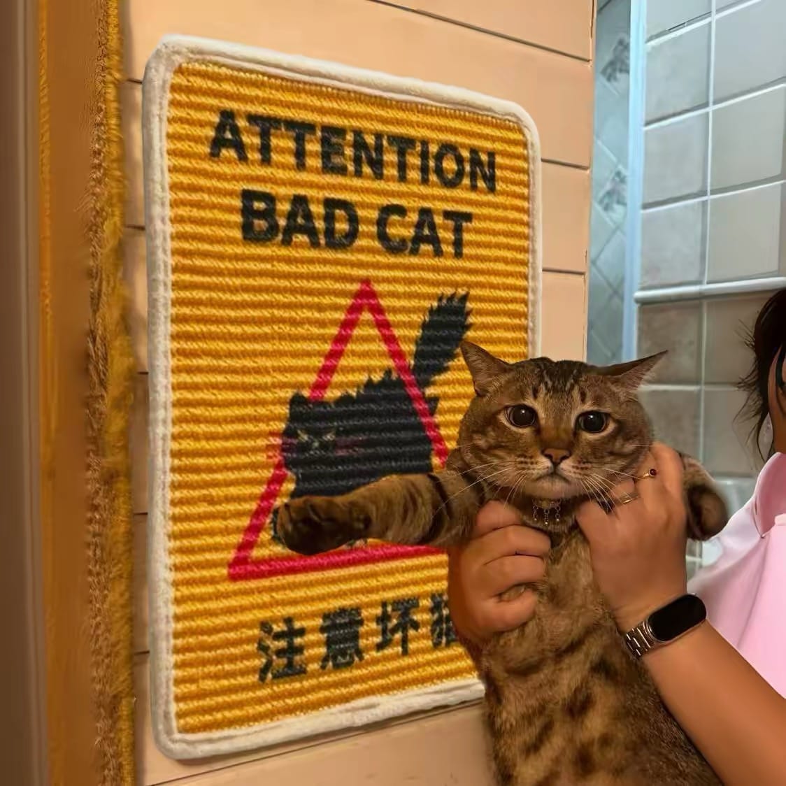 Customer photo review of Caution: Bad Cat Scratch Pad