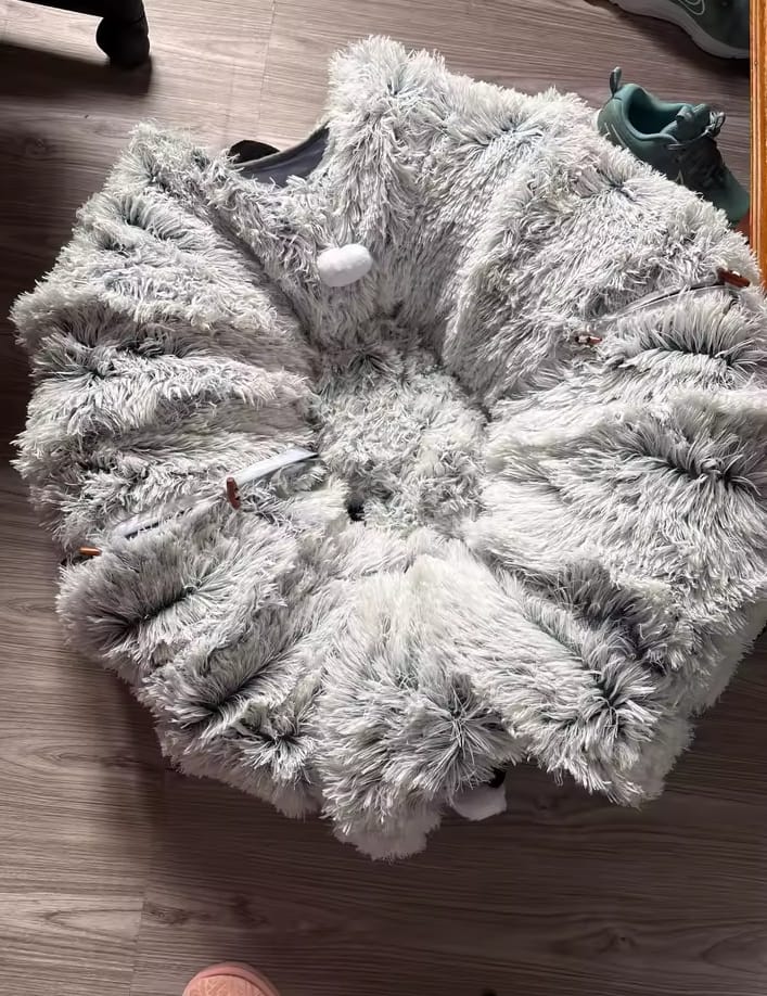 Customer photo review of Cozy Cat Tunnel & Bed