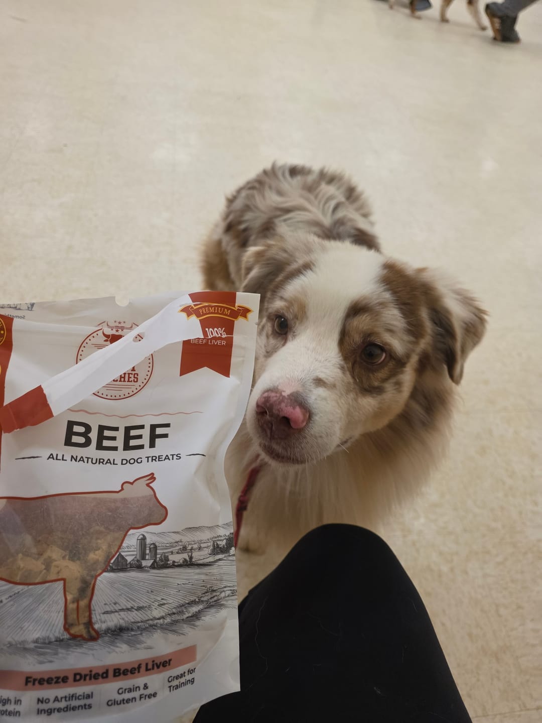 Customer photo review of Freeze Dried Beef Liver 100g / 3.5oz