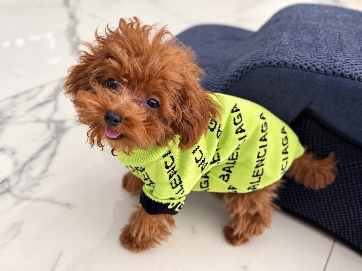 Customer photo review of BALENCI SWEATER