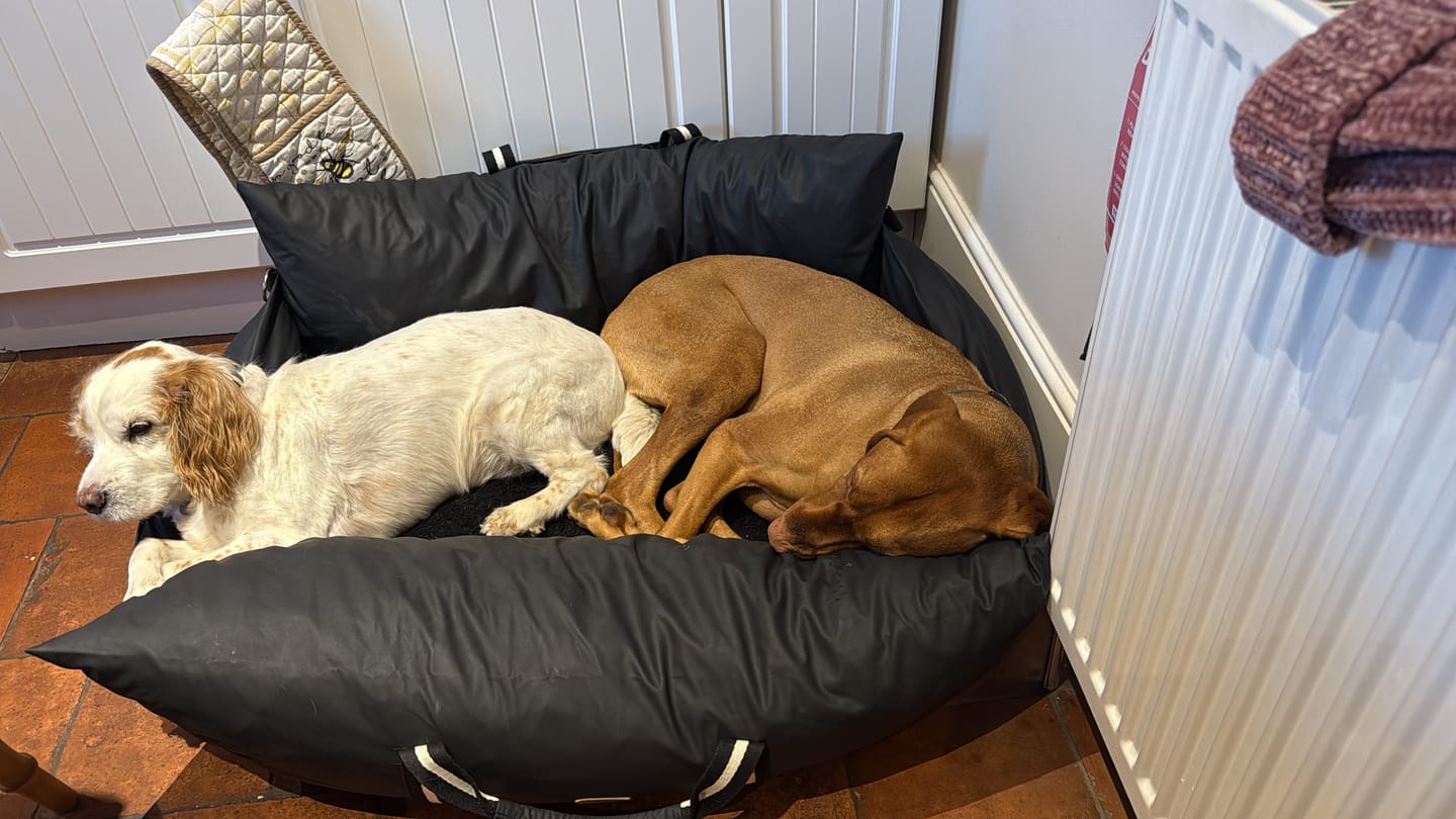 Customer photo review of Dog Dock V2 New & Improved ISO Fix