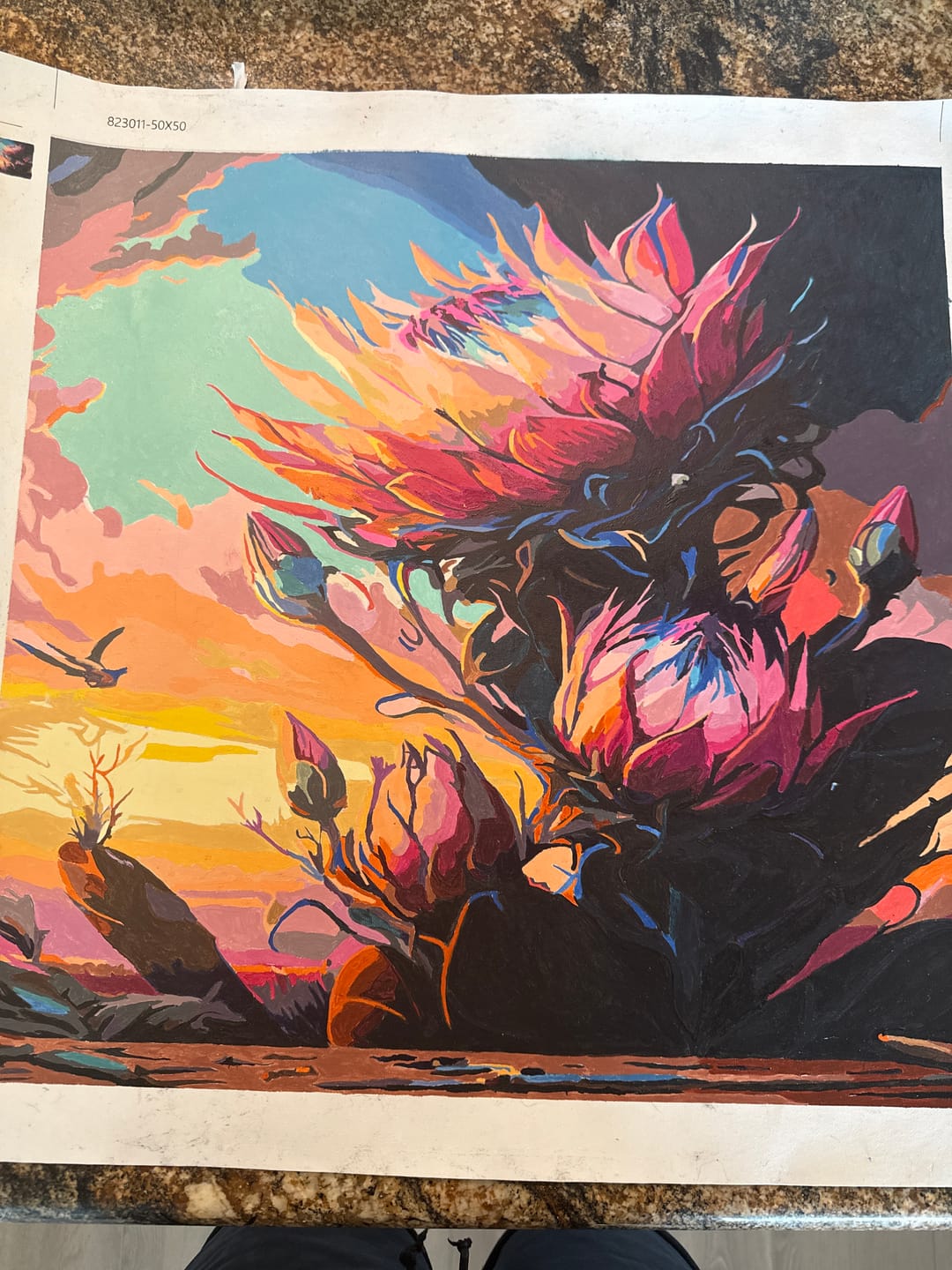 Customer photo review of Proteas IV (Paint by Numbers)