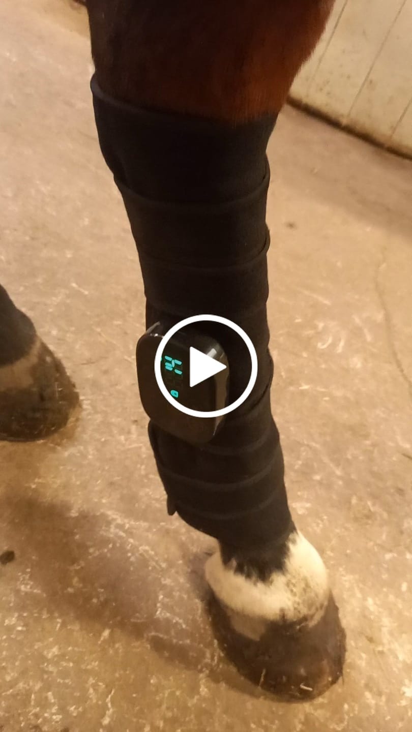Customer video review of EquiThera K2 — Så senan får rätt stöd att läka på djupet