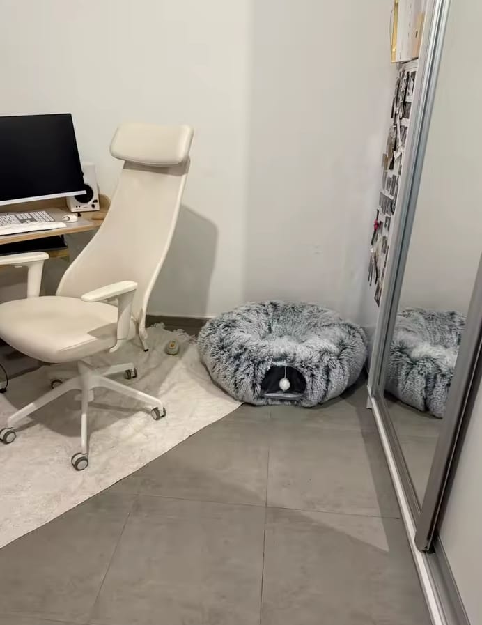 Customer photo review of Cozy Cat Tunnel & Bed
