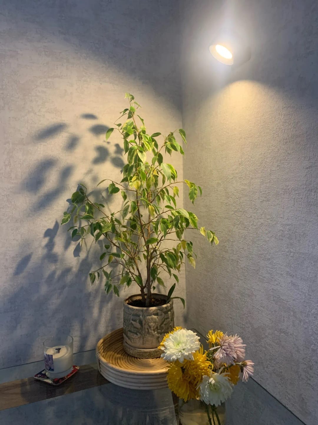 Customer photo review of Lumo Shine - Kabellose LED-Wandleuchte®
