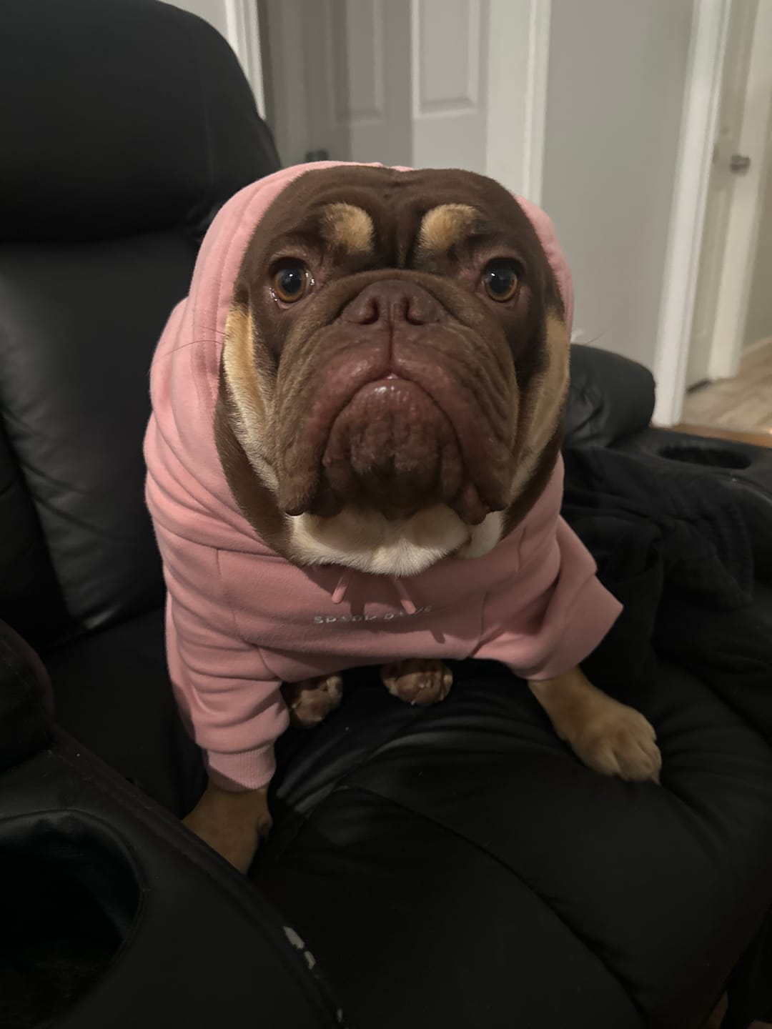 Customer photo review of Essential Human Hoodie - Dusty Pink