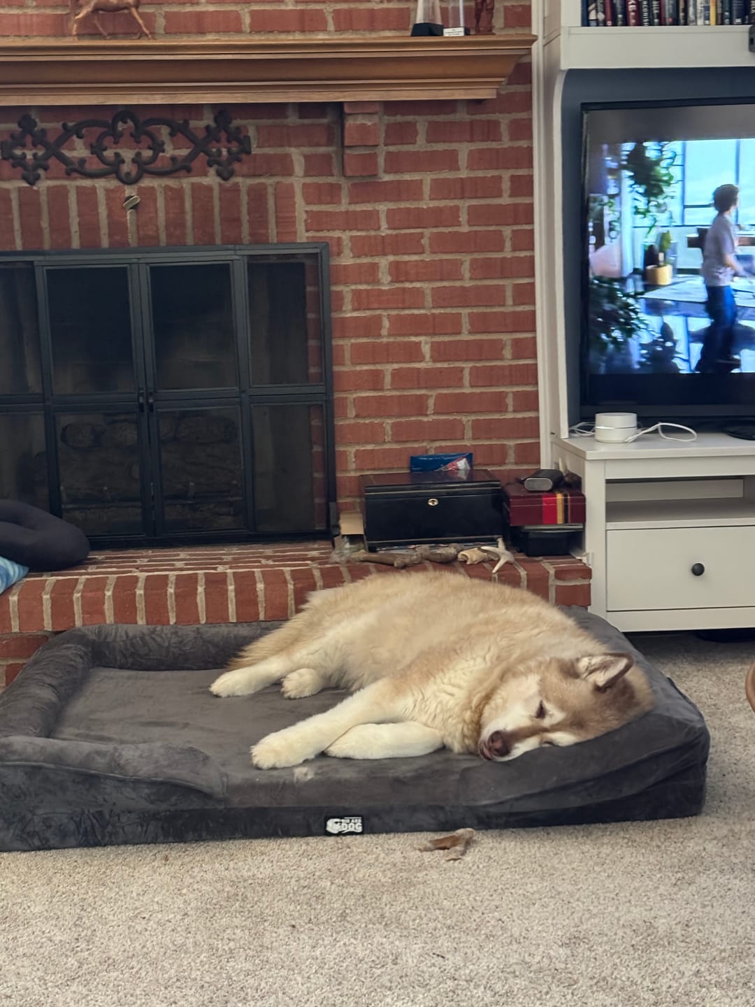 Customer photo review of Big Ass Bolster Bed