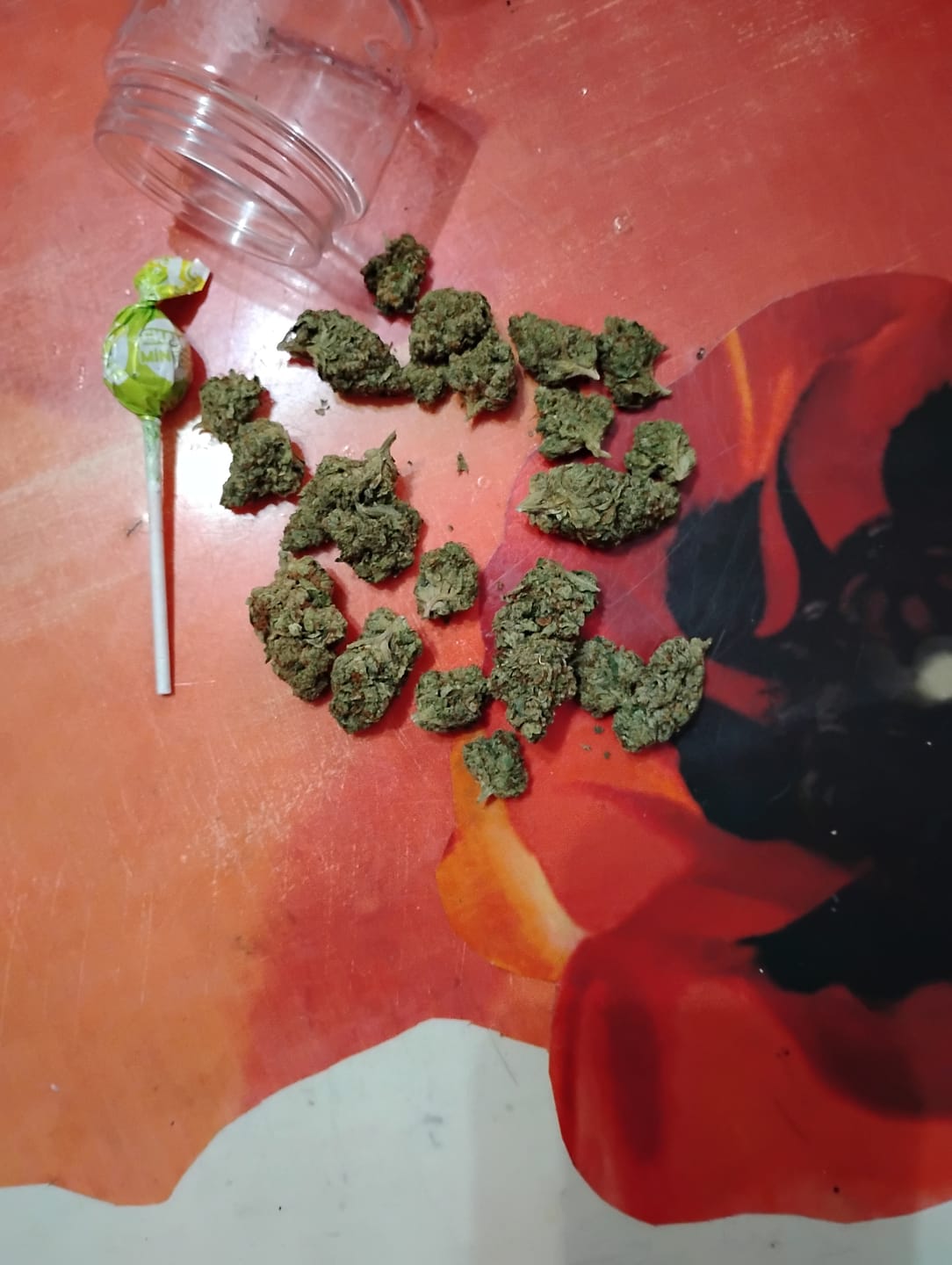 Customer photo review of Son of Mac – THCA Flower