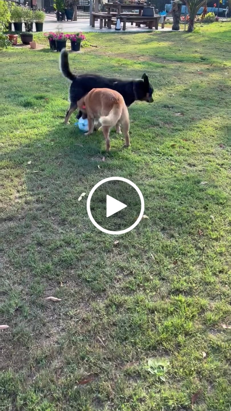 Customer video review of Grab Tab Soccer Ball