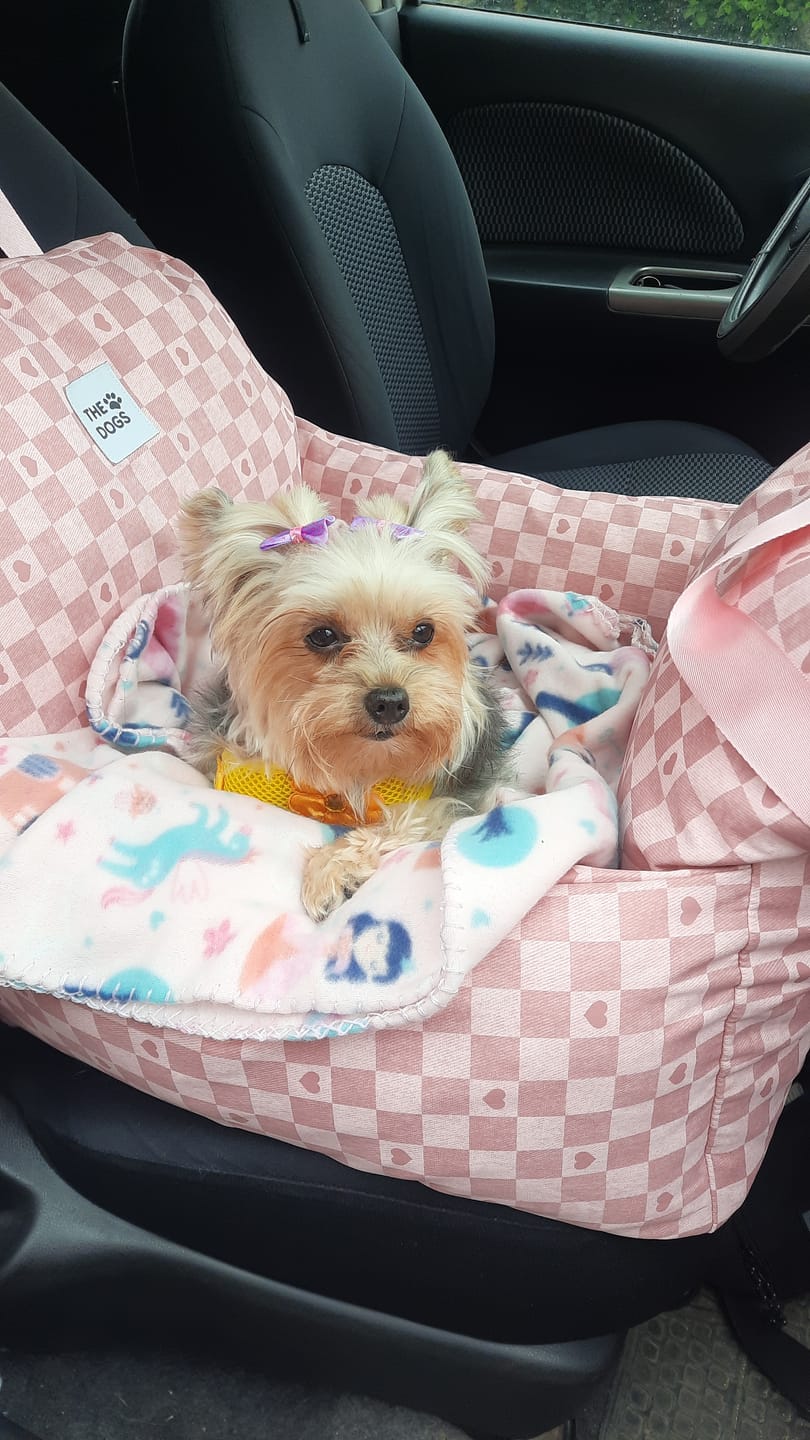 Customer photo review of Asiento Primera Clase THE DOGS — Viajes seguros y cómodos