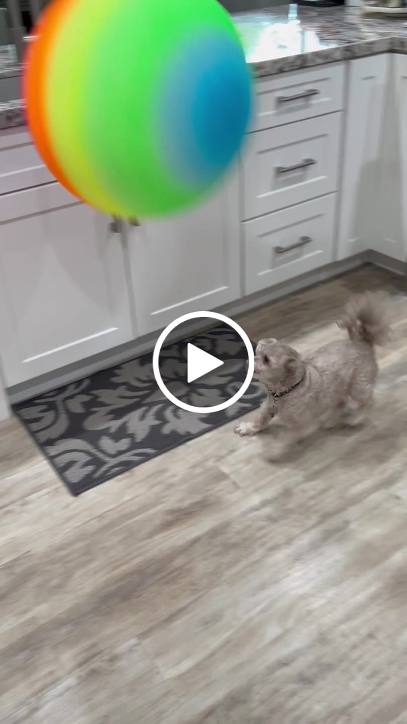 Customer video review of Salmon Oil