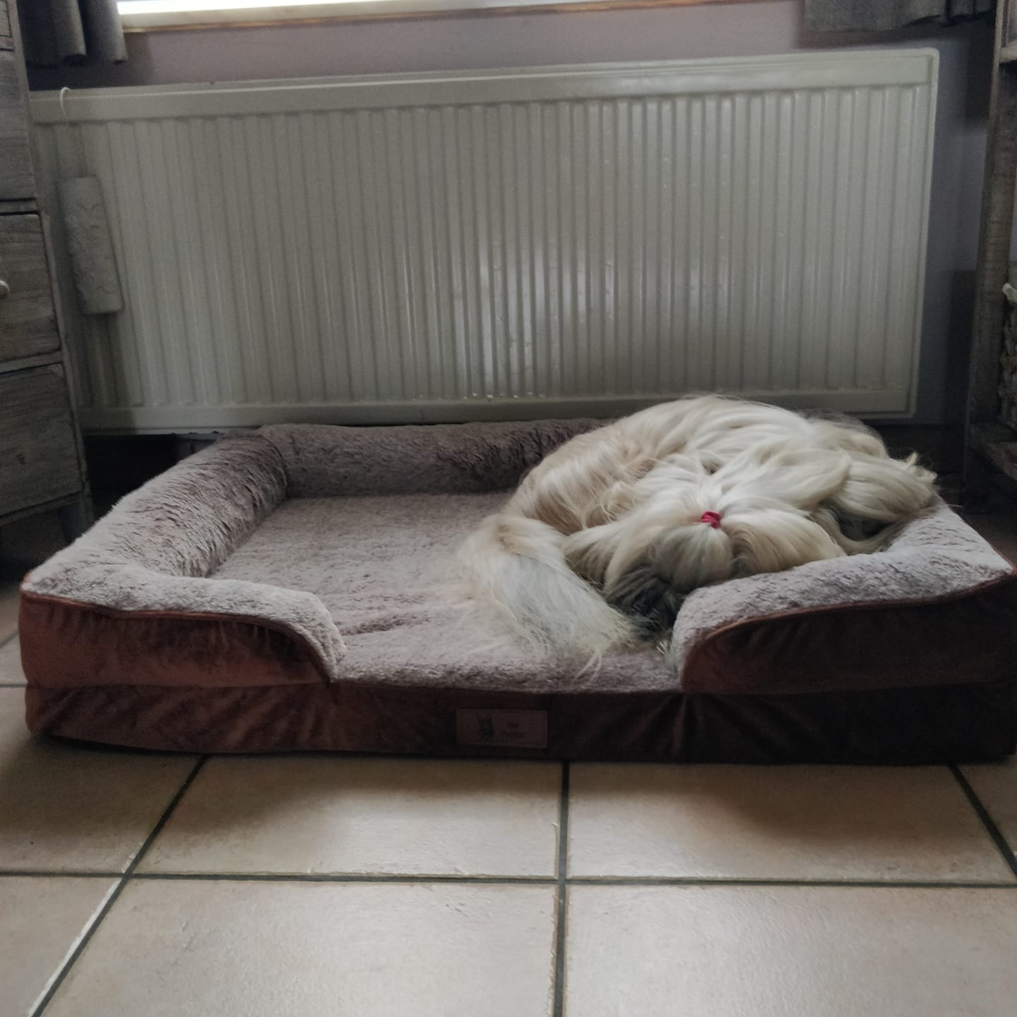 Customer photo review of Pet Perfect Orthopedische Hondenmand - Model 3 - Cosy Bruin