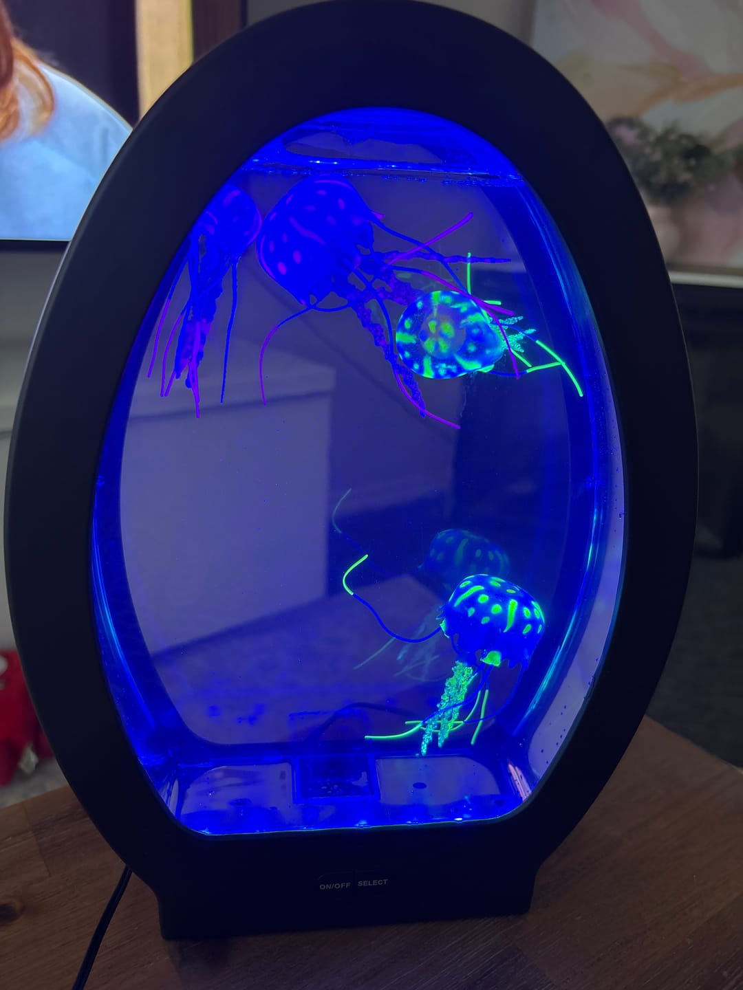 Customer photo review of Sensory Arched Jellyfish Aquarium