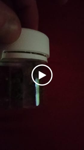 Customer video review of THC-A 36% Flower Granddaddy Purple