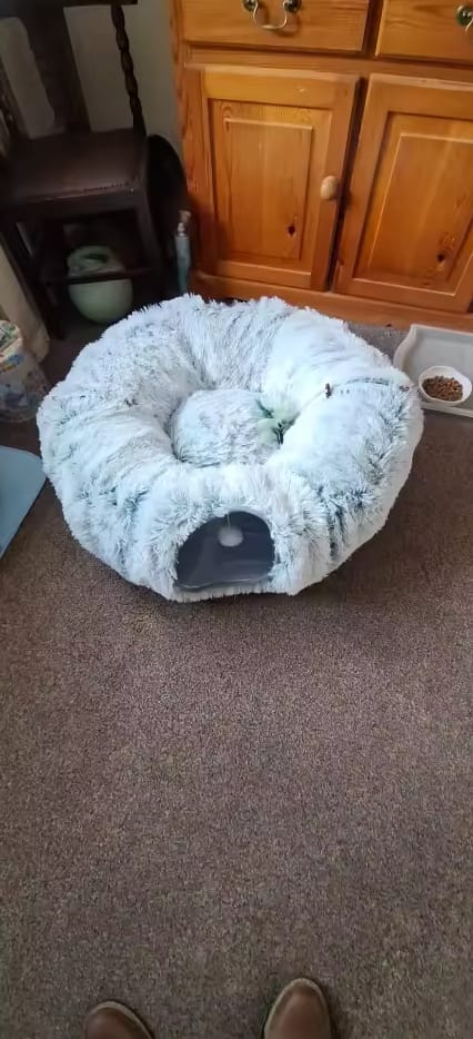 Customer photo review of Cozy Cat Tunnel & Bed