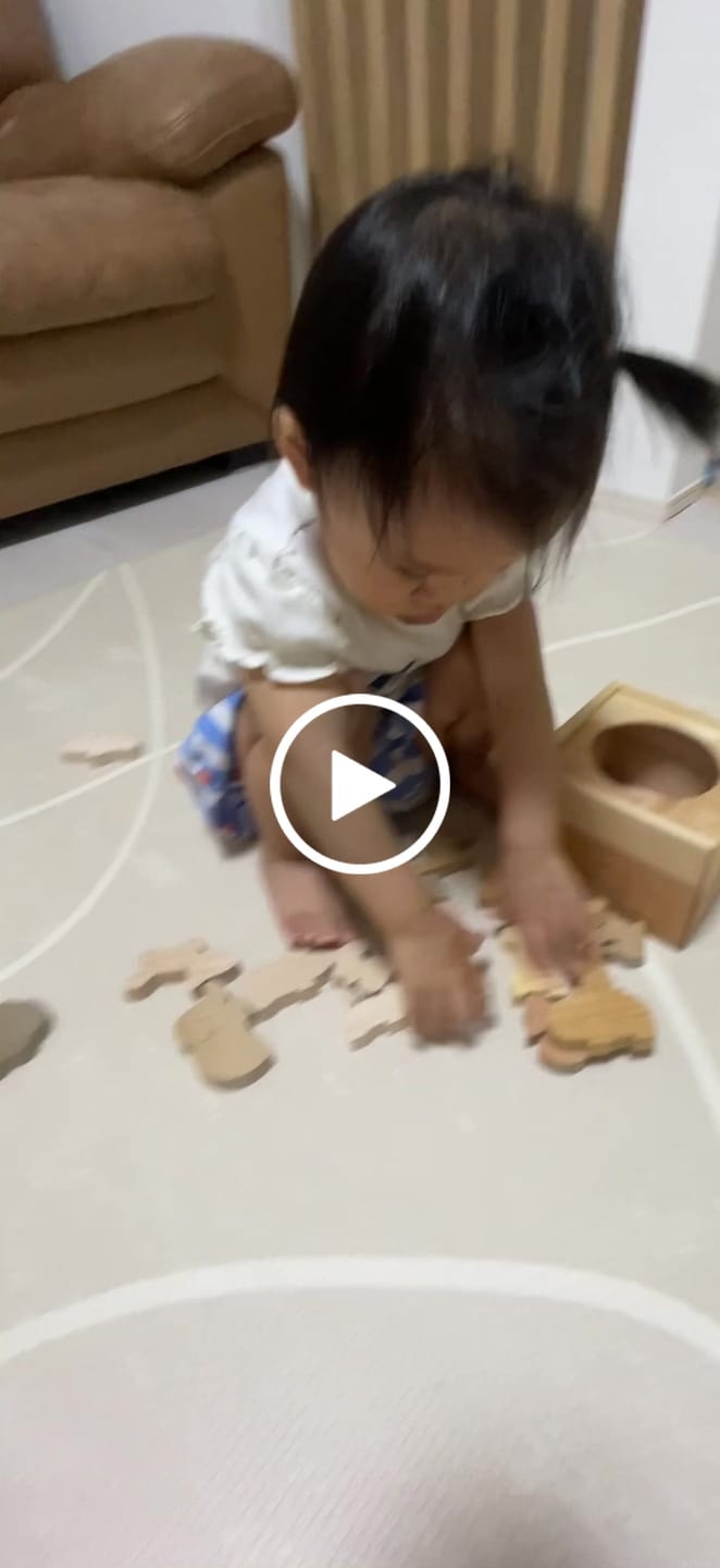 Customer video review of 動物積み木