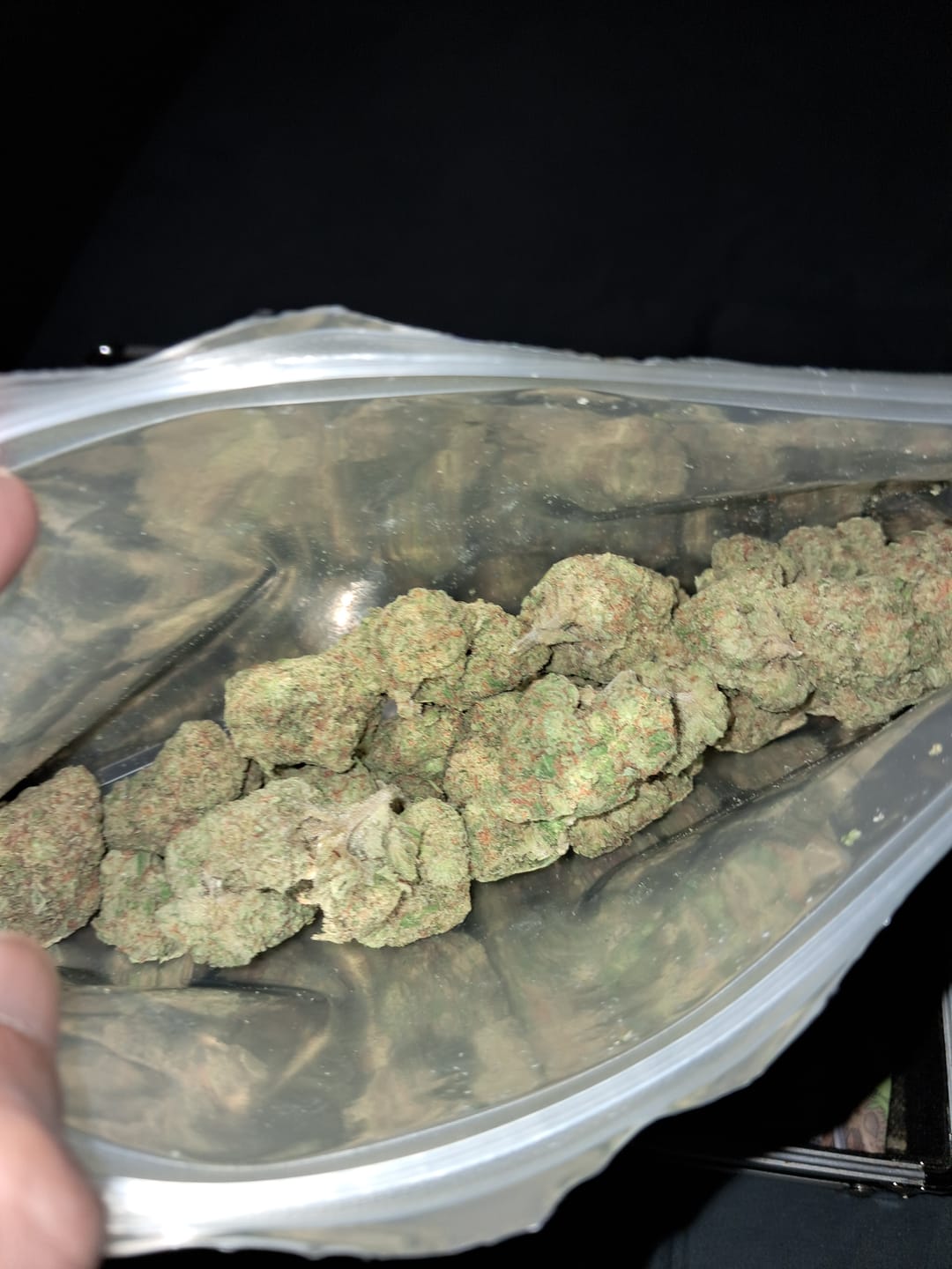 Customer photo review of Blue Gelato THCA Flower