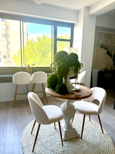 Customer's Elena French Provincial Urn Planter filled with mossy greens on a dining table